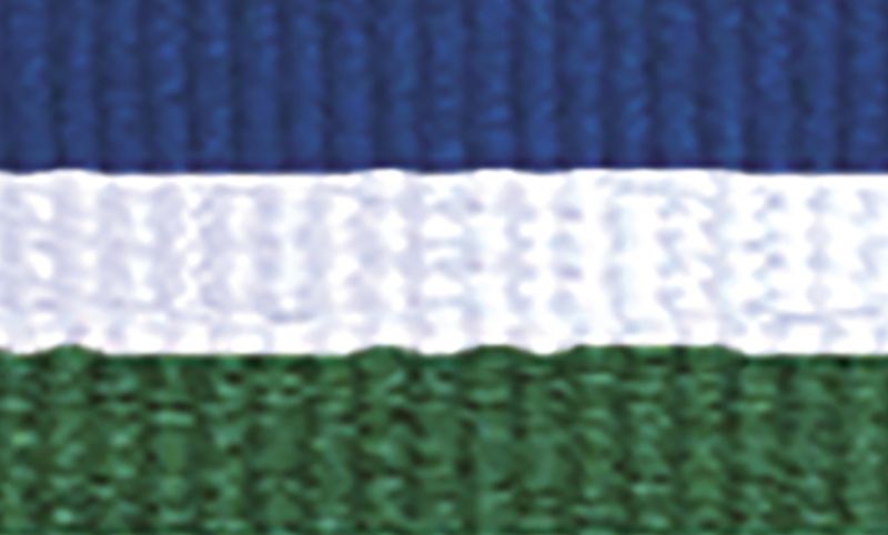 orginal_1065bu-wh-gn.jpg